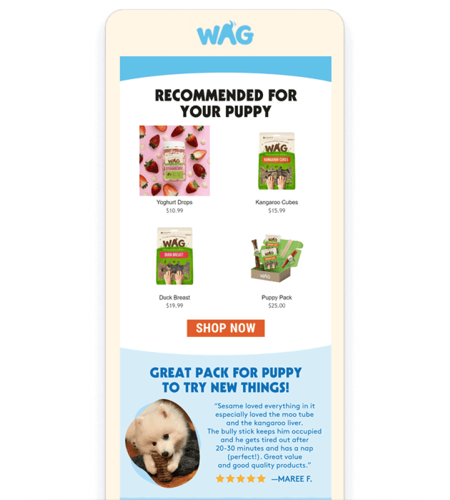 Email for WAG