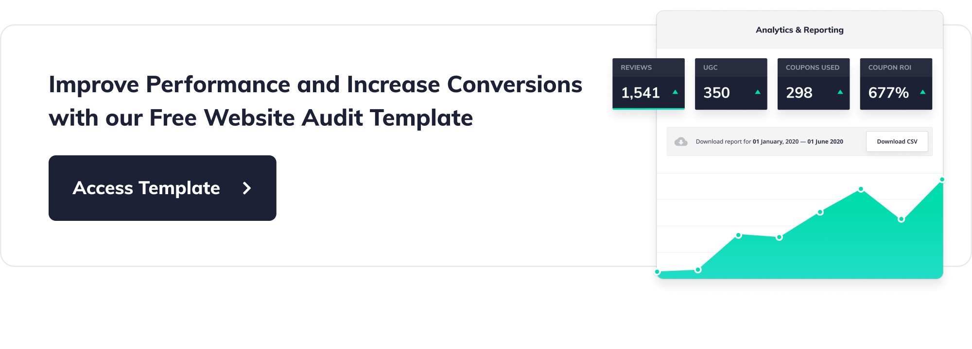 Download audit template