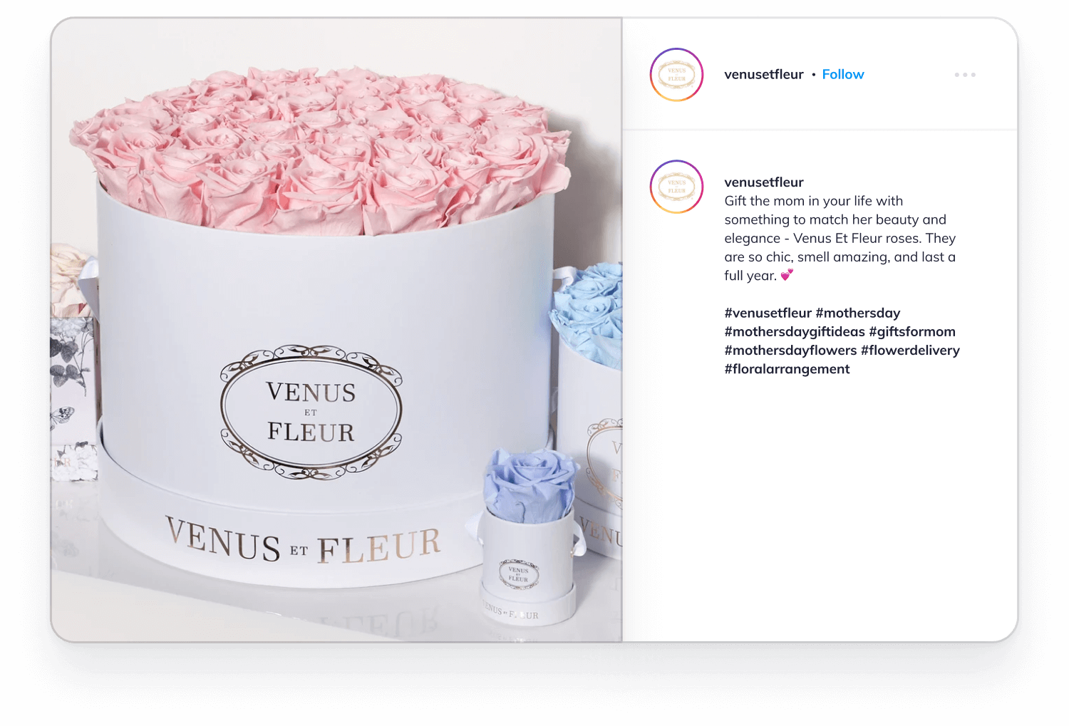 Instagram post from Paris Hilton for Venus Et Fleur