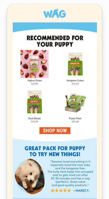 WAG email