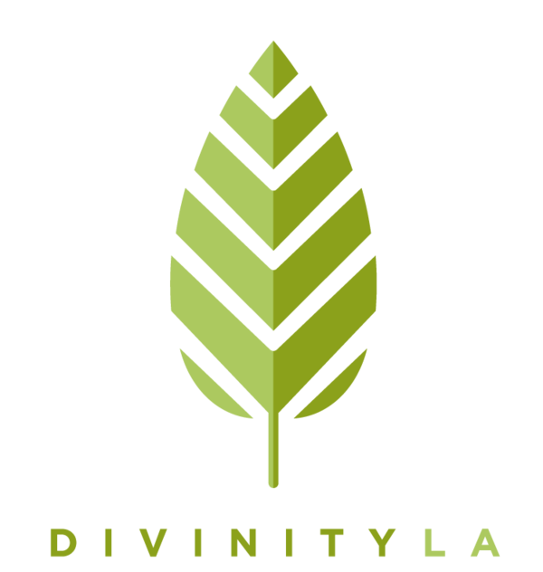 DivinityLa logo
