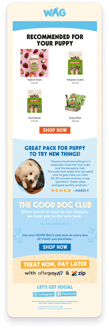 Segmented email for WAG