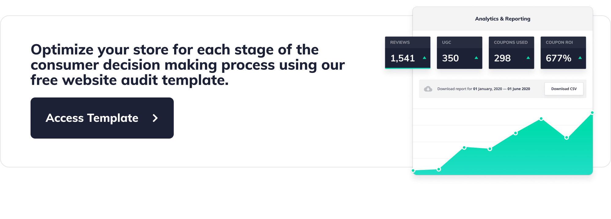 Download website audit template